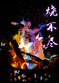 烧不尽小说全文免费阅读